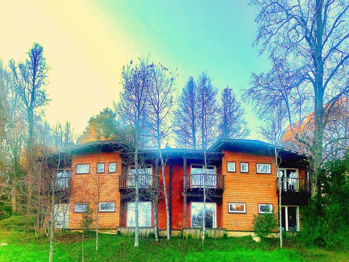 Elementos Eco Lodge Pucón المظهر الخارجي الصورة