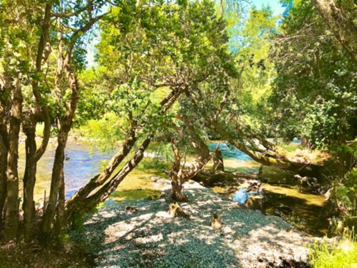 Elementos Eco Lodge Pucón المظهر الخارجي الصورة