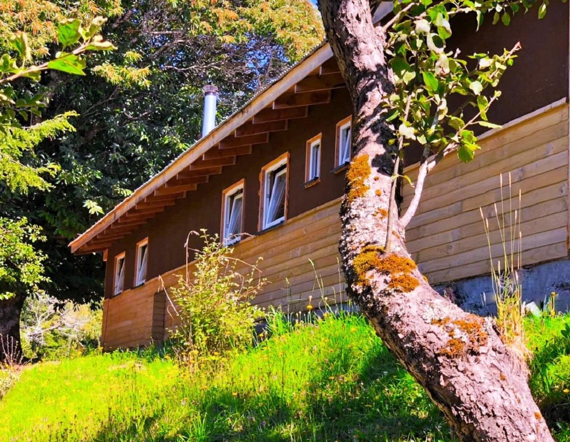 Elementos Eco Lodge Pucón المظهر الخارجي الصورة